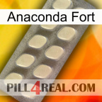 Anaconda Strong 08